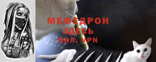 стаф Богородск