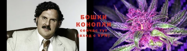 COCAINE Богданович