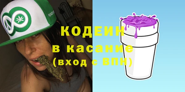 стаф Богородск