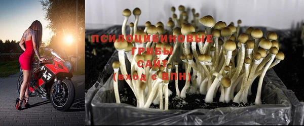 стафф Балахна