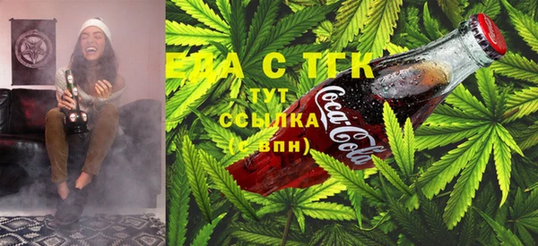 стаф Богородск