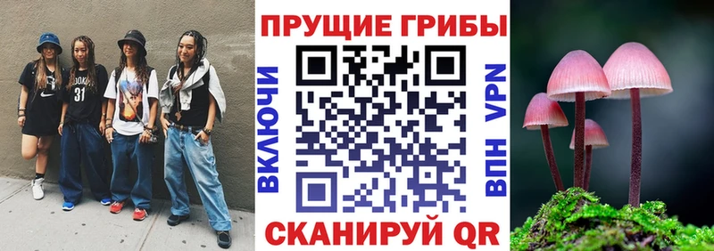 Псилоцибиновые грибы GOLDEN TEACHER  Гороховец 